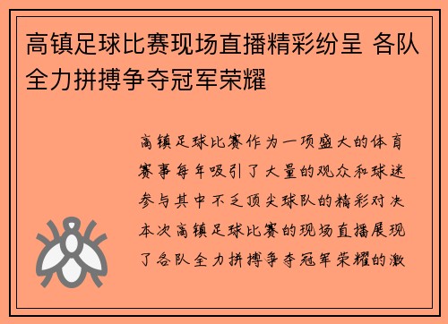 高镇足球比赛现场直播精彩纷呈 各队全力拼搏争夺冠军荣耀